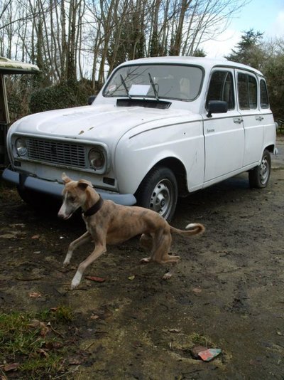 A car that's not likely to attent the kent run!.jpg