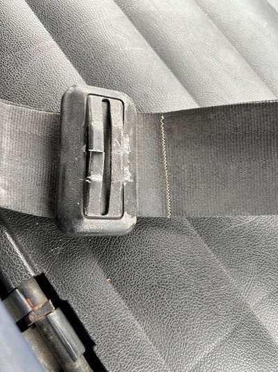 Myrtle seat belt.jpg